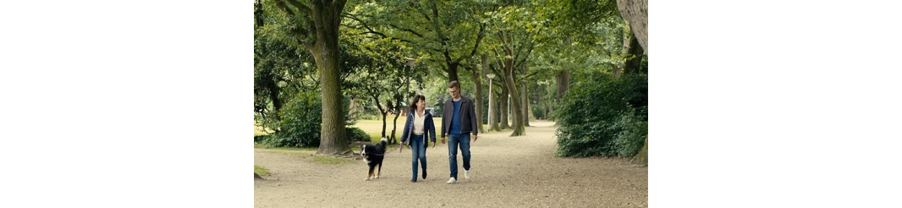 Auszeichnungen Auszeichnungen