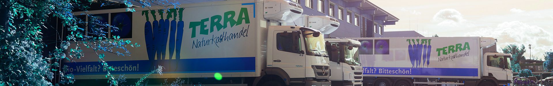 Keyvisual Firmenprofil 3 Keyvisual Firmenprofil 3