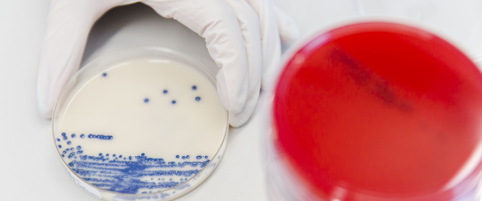 Keyvisual Firmenprofil 4 Keyvisual Firmenprofil 4