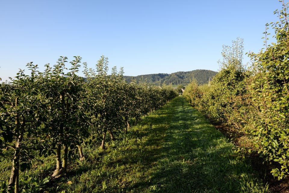 Firmenzentrale 2 Firmenzentrale 2