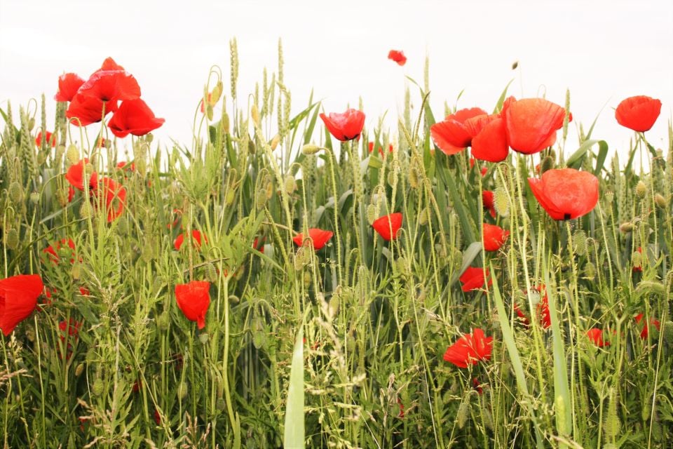 Firmenzentrale 3 Firmenzentrale 3