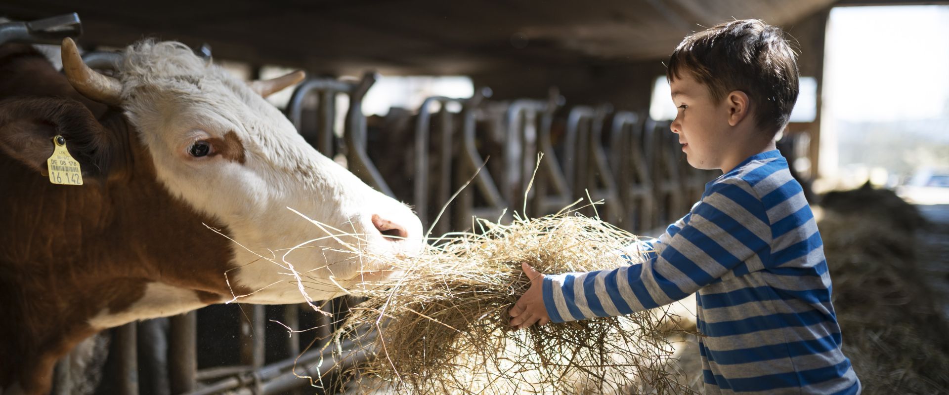 Keyvisual Firmenprofil 2 Keyvisual Firmenprofil 2