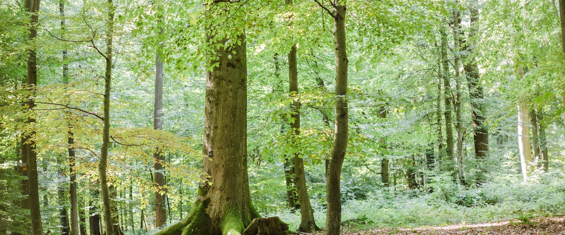 Keyvisual Firmenprofil 2 Keyvisual Firmenprofil 2