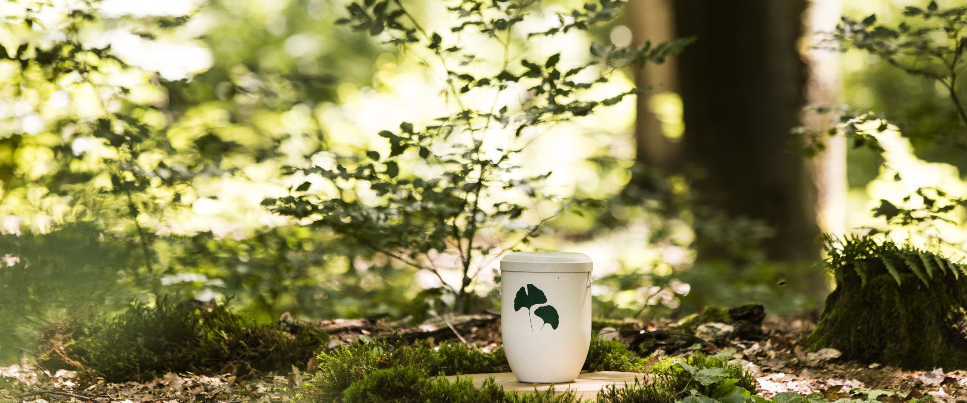 Keyvisual Firmenprofil 3 Keyvisual Firmenprofil 3