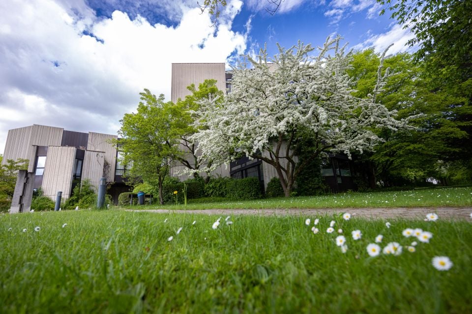 © M. Brunner © M. Brunner