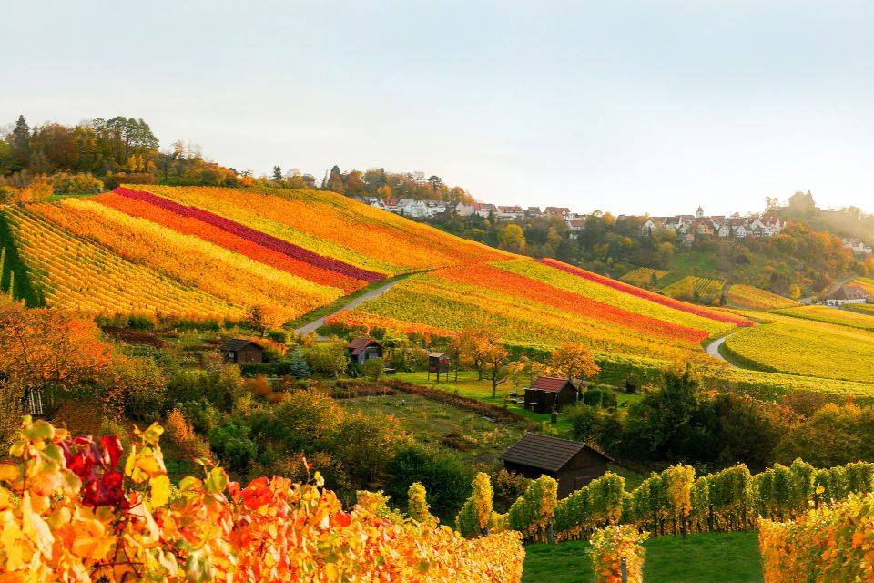 © magicbeam - Fotolia