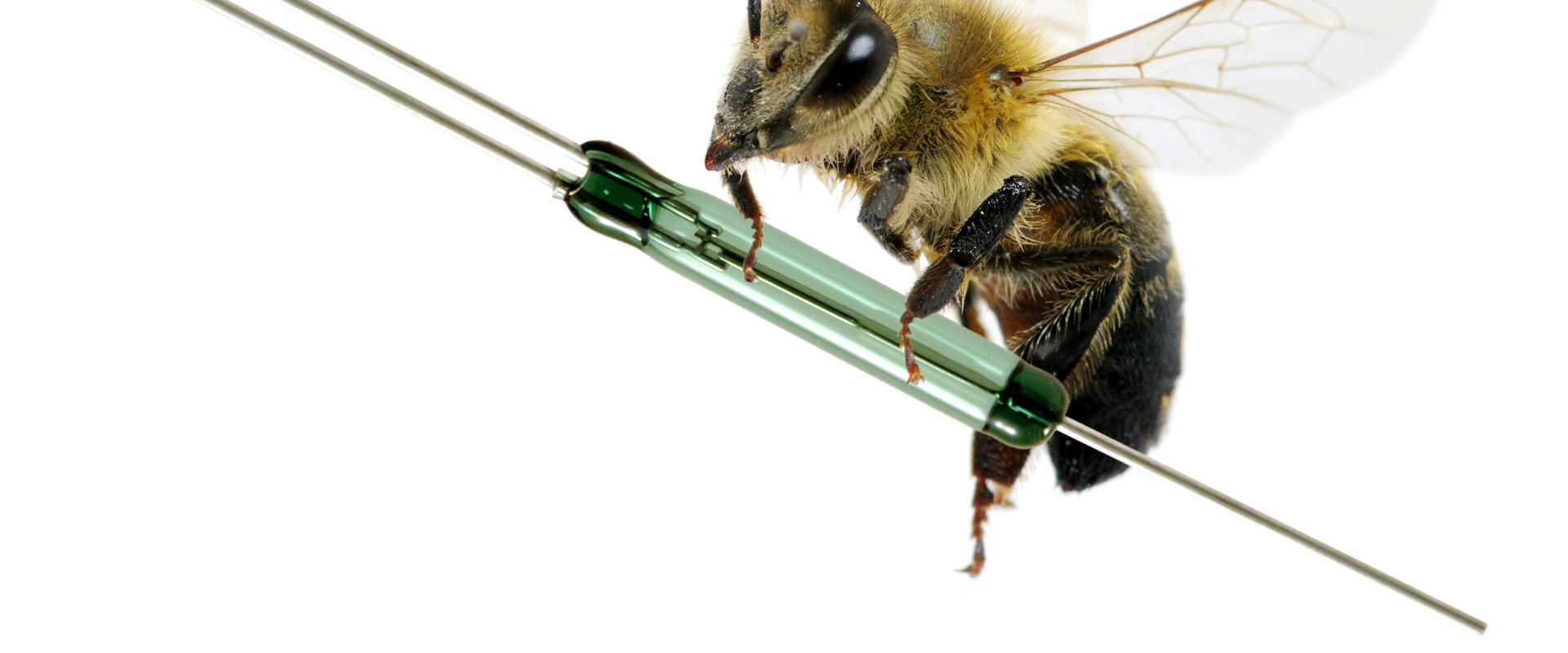 Keyvisual Firmenprofil 1 Keyvisual Firmenprofil 1