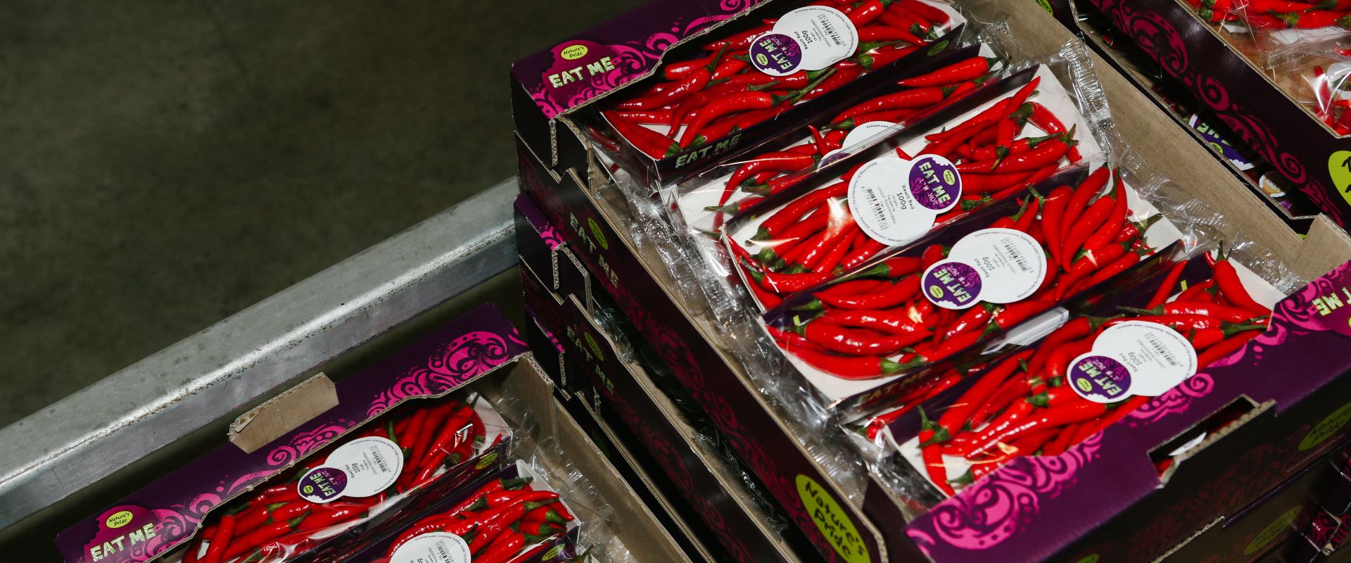 Keyvisual Firmenprofil 3 Keyvisual Firmenprofil 3