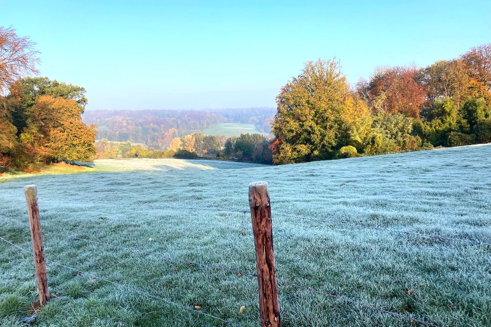 © Dieter Schoepf © Dieter Schoepf