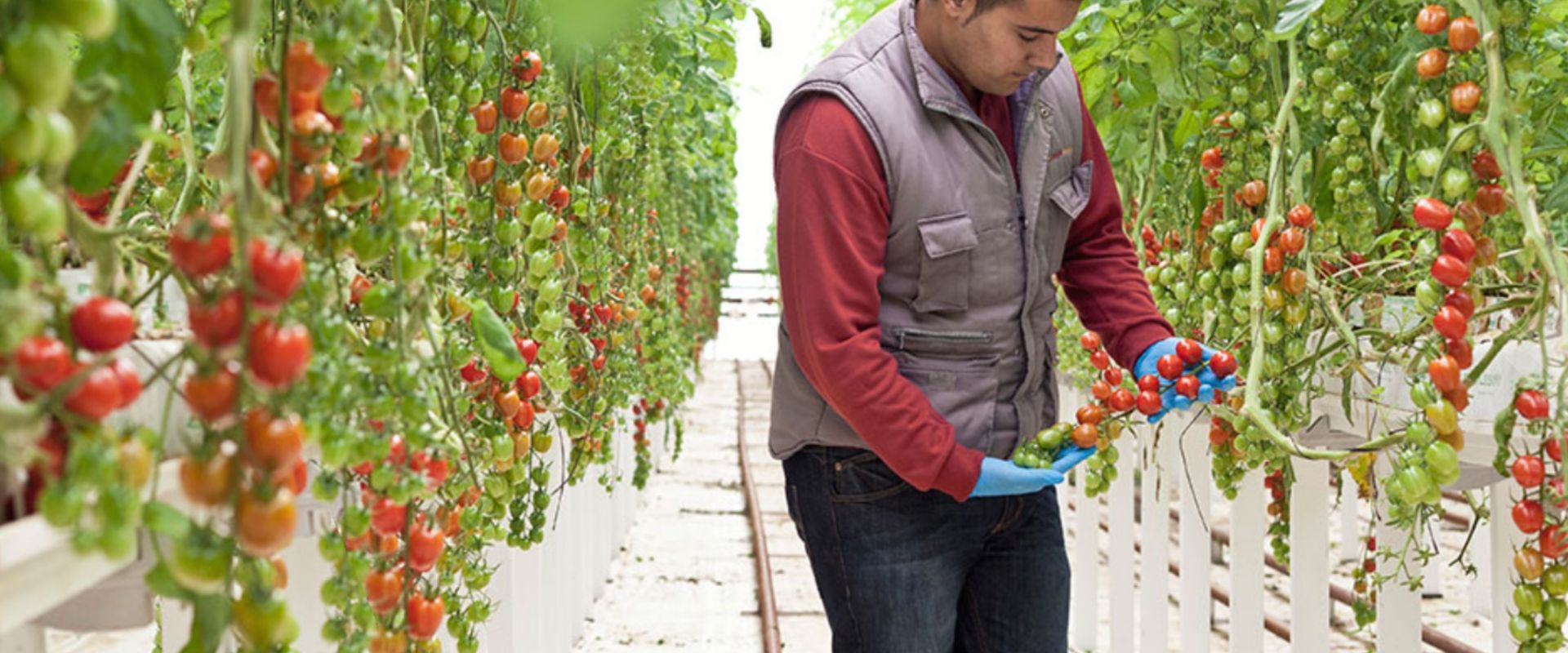 Keyvisual Firmenprofil 1 Keyvisual Firmenprofil 1