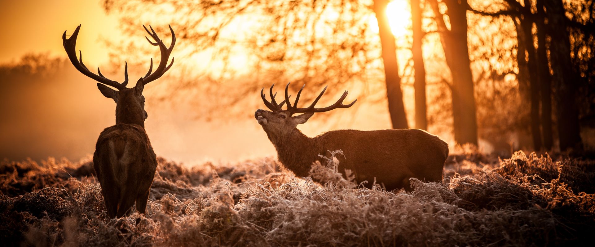 Keyvisual Firmenprofil 4