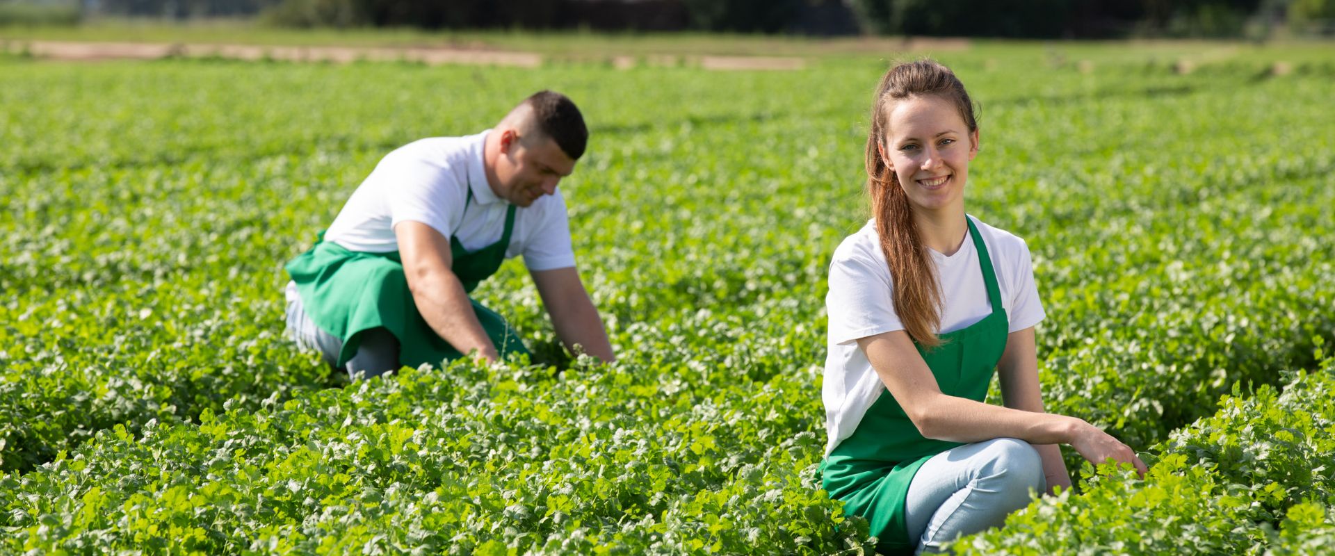 Keyvisual Firmenprofil 1