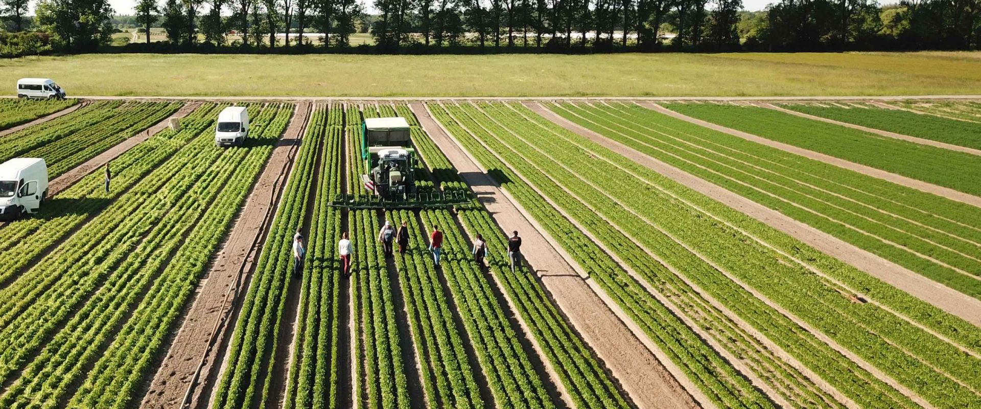 Keyvisual Firmenprofil 4