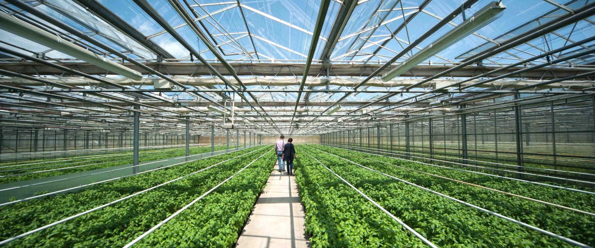 Keyvisual Firmenprofil 2