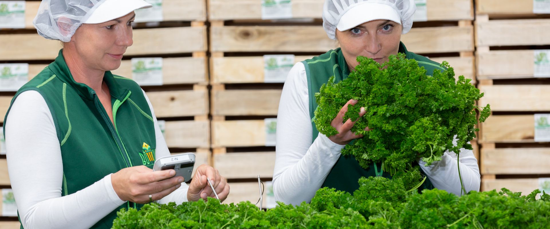 Keyvisual Firmenprofil 3