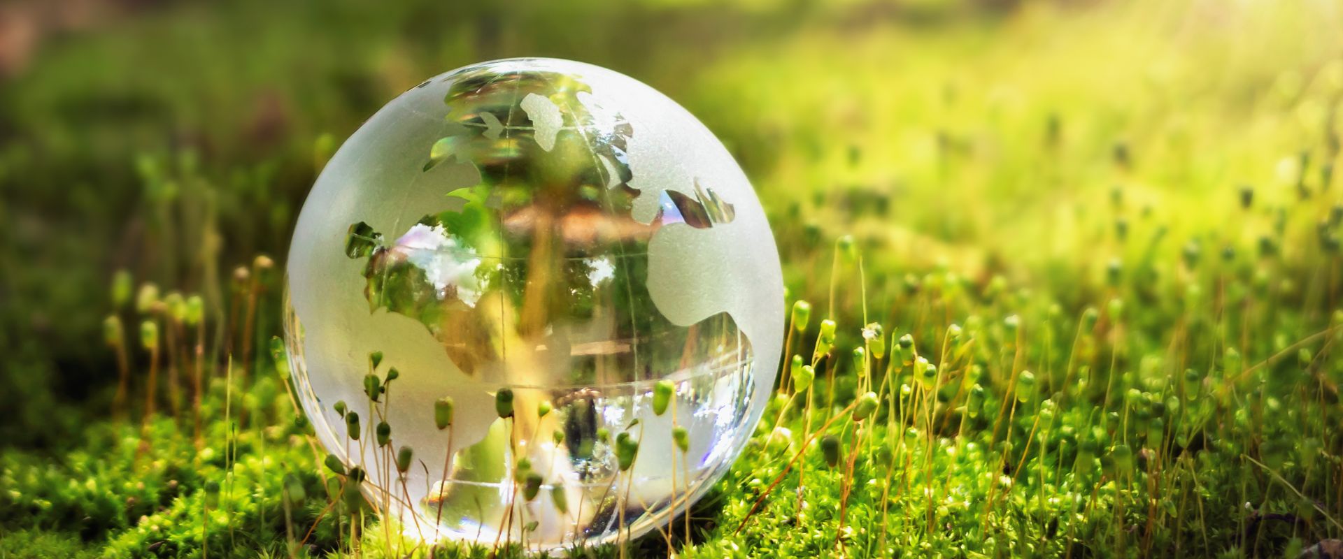 Keyvisual Firmenprofil 2 Keyvisual Firmenprofil 2