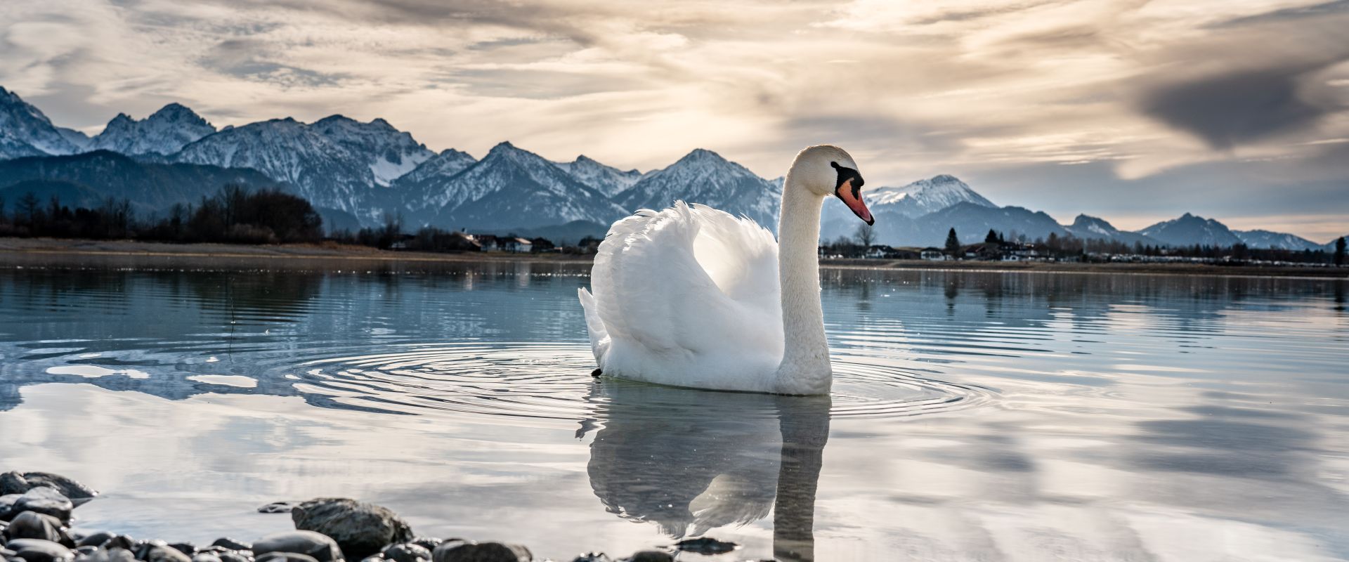 Keyvisual Firmenprofil 3