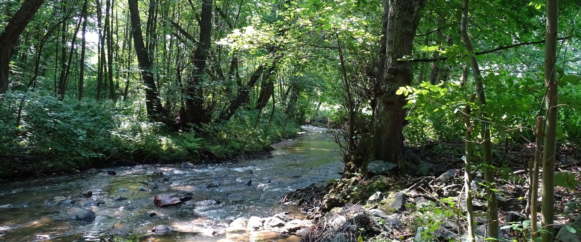 Keyvisual Firmenprofil 2 Keyvisual Firmenprofil 2