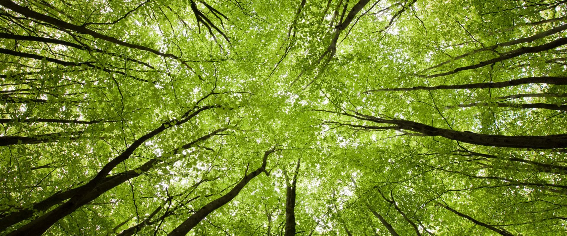 Keyvisual Firmenprofil 3 Keyvisual Firmenprofil 3