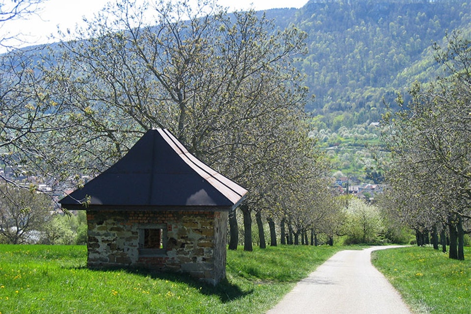 © Gemeinde Dettingen © Gemeinde Dettingen